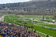 12 March 2025; Jimmy Du Seuil, with Danny Mullins up, on their way to winning The Coral Cup Handicap Hurdle on day two of the Cheltenham Racing Festival at Prestbury Park in Cheltenham, England. Photo by David Fitzgerald/Sportsfile