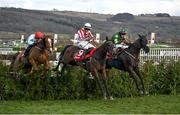 12 March 2025; Stumptown, with Keith Donoghue up, right, jumps the last alongside Latenightpass, with Gina Andrews up, who finished second, on their way to winning The Glenfarclas Cross Country Steeple Chase on day two of the Cheltenham Racing Festival at Prestbury Park in Cheltenham, England. Photo by David Fitzgerald/Sportsfile