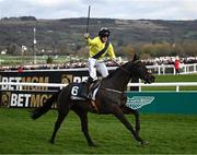 12 March 2025; Sean Flanagan, aboard Marine Nationale, celebrates after winning The BetMGM Queen Mother Champion Steeple Chase on day two of the Cheltenham Racing Festival at Prestbury Park in Cheltenham, England. Photo by David Fitzgerald/Sportsfile