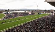13 March 2025; Runners and riders during the Ryanair Mares Novices Hurdle on day three of the Cheltenham Racing Festival at Prestbury Park in Cheltenham, England. Photo by Harry Murphy/Sportsfile