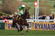 13 March 2025; Fact To File, with Mark Walsh up, after winning the Ryanair Chase on day three of the Cheltenham Racing Festival at Prestbury Park in Cheltenham, England. Photo by Harry Murphy/Sportsfile