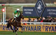 13 March 2025; Fact To File, with Mark Walsh up, after winning the Ryanair Chase on day three of the Cheltenham Racing Festival at Prestbury Park in Cheltenham, England. Photo by Harry Murphy/Sportsfile