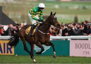 13 March 2025; Fact To File, with Mark Walsh up, after winning the Ryanair Chase on day three of the Cheltenham Racing Festival at Prestbury Park in Cheltenham, England. Photo by Harry Murphy/Sportsfile