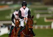 13 March 2025; Jockey Rachael Blackmore, aboard Bob Olinger, celebrates after winning the Paddy Power Stayers' Hurdle on day three of the Cheltenham Racing Festival at Prestbury Park in Cheltenham, England. Photo by Harry Murphy/Sportsfile