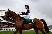 13 March 2025; Jockey Rachael Blackmore, aboard Bob Olinger, celebrates after winning the Paddy Power Stayers' Hurdle on day three of the Cheltenham Racing Festival at Prestbury Park in Cheltenham, England. Photo by Harry Murphy/Sportsfile