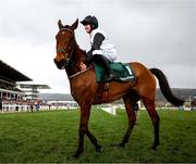 13 March 2025; Jockey Rachael Blackmore, aboard Bob Olinger, celebrates after winning the Paddy Power Stayers' Hurdle on day three of the Cheltenham Racing Festival at Prestbury Park in Cheltenham, England. Photo by Harry Murphy/Sportsfile