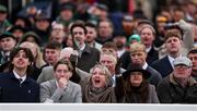 13 March 2025; Racegoers react during the TrustATrader Plate Handicap Chase during day three of the Cheltenham Racing Festival at Prestbury Park in Cheltenham, England. Photo by Harry Murphy/Sportsfile