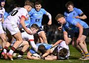 13 March 2025; Tim Corkery of UCD scores his side's first try despite the efforts of James O'Sullivan, left, and Hugo Lynch of Dublin University during the annual men’s Rugby Colours match between Dublin University and UCD at UCD Bowl in Dublin. Photo by Sam Barnes/Sportsfile