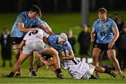 13 March 2025; Gerard Hill of UCD in action against Thomas Davidson, left, and Donie Grehan of Dublin University during the annual men’s Rugby Colours match between Dublin University and UCD at UCD Bowl in Dublin. Photo by Sam Barnes/Sportsfile