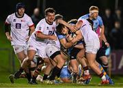 13 March 2025; Tim Corkery of UCD is tackled by Dublin University defenders including Arthur O'Rahilly, left, and Matt Lynch, right,  during the annual men’s Rugby Colours match between Dublin University and UCD at UCD Bowl in Dublin. Photo by Sam Barnes/Sportsfile