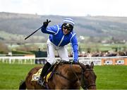 14 March 2025; Poniros, with Jonjo O'Neill Jr up, on their way to winning The JCB Triumph Hurdle on day four of the Cheltenham Racing Festival at Prestbury Park in Cheltenham, England. Photo by David Fitzgerald/Sportsfile