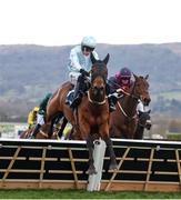 14 March 2025; Kargese, with Paul Townend up, jumps the last on their way to winning The William Hill County Handicap Hurdle Race on day four of the Cheltenham Racing Festival at Prestbury Park in Cheltenham, England. Photo by Harry Murphy/Sportsfile