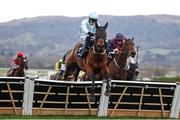 14 March 2025; Kargese, with Paul Townend up, jumps the last on their way to winning The William Hill County Handicap Hurdle Race on day four of the Cheltenham Racing Festival at Prestbury Park in Cheltenham, England. Photo by Harry Murphy/Sportsfile