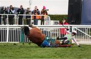 14 March 2025; Allegorie De Vassy, with Paul Townend up, falls at the last during The Mrs Paddy Power Mares' Steeple Chase on day four of the Cheltenham Racing Festival at Prestbury Park in Cheltenham, England. Photo by Harry Murphy/Sportsfile