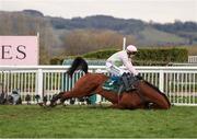 14 March 2025; Allegorie De Vassy, with Paul Townend up, falls at the last during The Mrs Paddy Power Mares' Steeple Chase on day four of the Cheltenham Racing Festival at Prestbury Park in Cheltenham, England. Photo by Harry Murphy/Sportsfile