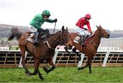 14 March 2025; Jasmin De Vaux, with Paul Townend up, left, jump the last on their way to winning The Albert Bartlett  Novices’ Hurdle Race, ahead of The Big Westerner, with Darragh O'Keeffe up, who finished second, on day four of the Cheltenham Racing Festival at Prestbury Park in Cheltenham, England. Photo by Harry Murphy/Sportsfile
