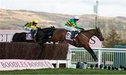 14 March 2025; Inothewayurthinkin, with Mark Walsh up, jump the last ahead of eventual second place Galopin Des Champs, with Paul Townend up, on their way to winning Boodles Cheltenham Gold Cup Steeple Chase on day four of the Cheltenham Racing Festival at Prestbury Park in Cheltenham, England. Photo by Harry Murphy/Sportsfile