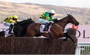 14 March 2025; Inothewayurthinkin, with Mark Walsh up, jumps the last ahead of eventual second place Galopin Des Champs, with Paul Townend up, on their way to winning Boodles Cheltenham Gold Cup Steeple Chase on day four of the Cheltenham Racing Festival at Prestbury Park in Cheltenham, England. Photo by Harry Murphy/Sportsfile