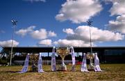 15 March 2025; The cups, from left, the Giles Cup, O'Connor Cup and Lynch cup, are seen before the 2025 Ladies AIG Lynch final match between MTU Cork and UCD 2 at Queen's Sport, Queens University, Belfast. Photo by Ben McShane/Sportsfile