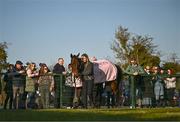 18 March 2025; Inothewayurthinkin, with groom Caoimhe O'Brien, is paraded in front of the supporters during homecoming celebrations for Cheltenham Gold Cup winner Inothewayurthinkin at Skryne Gaelic Football Club in Tara, Meath. Photo by Ben McShane/Sportsfile