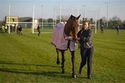 18 March 2025; Inothewayurthinkin, with groom Caoimhe O'Brien, is paraded in front of the supporters during homecoming celebrations for Cheltenham Gold Cup winner Inothewayurthinkin at Skryne Gaelic Football Club in Tara, Meath. Photo by Ben McShane/Sportsfile