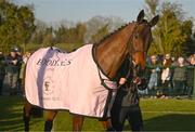 18 March 2025; Inothewayurthinkin, with groom Caoimhe O'Brien, during homecoming celebrations for Cheltenham Gold Cup winner Inothewayurthinkin at Skryne Gaelic Football Club in Tara, Meath. Photo by Ben McShane/Sportsfile