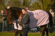 18 March 2025; Inothewayurthinkin, with groom Caoimhe O'Brien, during homecoming celebrations for Cheltenham Gold Cup winner Inothewayurthinkin at Skryne Gaelic Football Club in Tara, Meath. Photo by Ben McShane/Sportsfile
