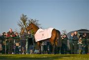 18 March 2025; Inothewayurthinkin, with groom Caoimhe O'Brien, is paraded in front of the supporters during homecoming celebrations for Cheltenham Gold Cup winner Inothewayurthinkin at Skryne Gaelic Football Club in Tara, Meath. Photo by Ben McShane/Sportsfile