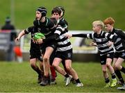 23 March 2025; Action during the De La Salle Palmerston U12s Rugby Blitz 2025 at Kirwan Park in Kiltiernan, Dublin. Photo by Seb Daly/Sportsfile