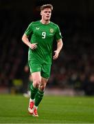 23 March 2025; Evan Ferguson of Republic of Ireland during the UEFA Nations League B/C Play-off 2nd Leg match between Republic of Ireland and Bulgaria at the Aviva Stadium in Dublin. Photo by Ben McShane/Sportsfile