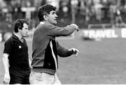 11 August 1985; Kerry manager Mick O'Dwyer during the All-Ireland Football semi-final match between Kerry and Monaghan at Croke Park, Dublin. Photo by Ray McManus/Sportsfile