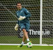 7 October 2013; David Forde, Republic of Ireland, during squad training ahead of their 2014 FIFA World Cup Qualifier, Group C, game against Germany on Friday. Republic of Ireland Squad Training, Gannon Park, Malahide, Co. Dublin. Picture credit: David Maher / SPORTSFILE