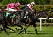 9 October 2013; Big Bad Lily, with Ross Coakley up, left, pulls up alongside, and eventually passes, City of Culture, with Charlie Elliott up, on the way to winning the Trim Apprentice Handicap. Navan Racecourse, Navan, Co. Meath. Picture credit: Matt Browne / SPORTSFILE