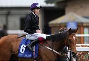 12 April 2025; One Look, with Billy Lee up, before the Lodge Park Stud Irish EBF Park Express Stakes at The Curragh Racecourse in Kildare. Photo by Thomas Doolin/Sportsfile