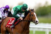 12 April 2025; Green Sense, with Dylan Browne Mc Monagle up, on their way to winning the Tote Never Beaten By SP Irish EBF Maiden at The Curragh Racecourse in Kildare. Photo by Thomas Doolin/Sportsfile
