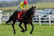 12 April 2025; Sakakawea, with Billy Lee up, before the Download The Tote App Handicap at The Curragh Racecourse in Kildare. Photo by Thomas Doolin/Sportsfile
