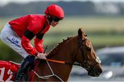 12 April 2025; Distillate, with Adam Caffrey, before the Download The Tote App Handicap at The Curragh Racecourse in Kildare. Photo by Thomas Doolin/Sportsfile