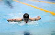 14 April 2025; Ellen Walshe of Templeogue Swim Club competes in the women's 100m butterfly during day three of the Irish Open Swimming Championships at the National Aquatic Centre on the Sport Ireland Campus in Dublin. Photo by Ramsey Cardy/Sportsfile