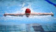 16 April 2025; Sean Carragher of Banbridge competes in the Men's 50m Butterfly heats during day five of the Irish Open Swimming Championships at the National Aquatic Centre on the Sport Ireland Campus in Dublin. Photo by Ben McShane/Sportsfile