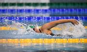 16 April 2025; Clare Custer of Sundays Well competes in the Women's 800m freestyle final during day five of the Irish Open Swimming Championships at the National Aquatic Centre on the Sport Ireland Campus in Dublin. Photo by Ben McShane/Sportsfile