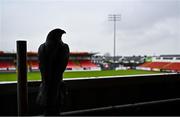 19 April 2025; A model bird is seen in the media gantry before the SSE Airtricity Women's Premier Division match between Sligo Rovers and Galway United at The Showgrounds in Sligo. Photo by Tyler Miller/Sportsfile