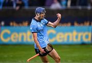 19 April 2025; Brian Hayes of Dublin celebrates scoring a late point during the Leinster GAA Hurling Senior Championship Round 1 match between Dublin and Offaly at Parnell Park in Dublin. Photo by Ray McManus/Sportsfile