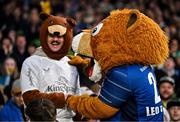 19 April 2025; Leinster mascot Leo the Lion with an Ulster supporter during the United Rugby Championship match between Leinster and Ulster at the Aviva Stadium in Dublin. Photo by Sam Barnes/Sportsfile