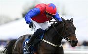 20 April 2025; Aurora Vega, with Paul Townend up, on his way to winning The Irish Stallion Farms EBF Honeysuckle Mares Novice Hurdle (Grade 1) on day two of the Fairyhouse Easter Festival at Fairyhouse Racecourse in Ratoath, Meath. Photo by Shauna Clinton/Sportsfile