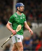 20 April 2025; Shane O’Brien of Limerick during the Munster GAA Hurling Senior Championship Round 1 match between Tipperary and Limerick at FBD Semple Stadium in Thurles, Tipperary. Photo by Seb Daly/Sportsfile