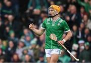 20 April 2025; Adam English of Limerick celebrates after scoring his side's first goal during the Munster GAA Hurling Senior Championship Round 1 match between Tipperary and Limerick at FBD Semple Stadium in Thurles, Tipperary. Photo by Seb Daly/Sportsfile