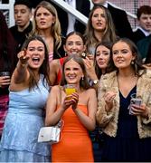 21 April 2025; Racegoers react during the Farmhouse Foods Novice Handicap Hurdle on day three of the Fairyhouse Easter Festival at Fairyhouse Racecourse in Ratoath, Meath. Photo by David Fitzgerald/Sportsfile
