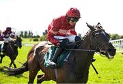 21 April 2025; Blue Lemons, with Paul Townend up, on their way to winning the O'Driscoll's Irish Whiskey Juvenile Hurdle on day three of the Fairyhouse Easter Festival at Fairyhouse Racecourse in Ratoath, Meath. Photo by David Fitzgerald/Sportsfile