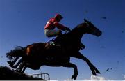 21 April 2025; Blue Lemons, with Paul Townend up, clear the last on the first time round on their way to winning the O'Driscoll's Irish Whiskey Juvenile Hurdle on day three of the Fairyhouse Easter Festival at Fairyhouse Racecourse in Ratoath, Meath. Photo by David Fitzgerald/Sportsfile