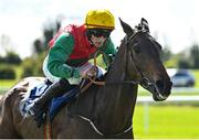 21 April 2025; Glen Kiln, with Cian Quirke up, on their way to winning the Fairyhouse Steel Handicap Hurdle on day three of the Fairyhouse Easter Festival at Fairyhouse Racecourse in Ratoath, Meath. Photo by David Fitzgerald/Sportsfile